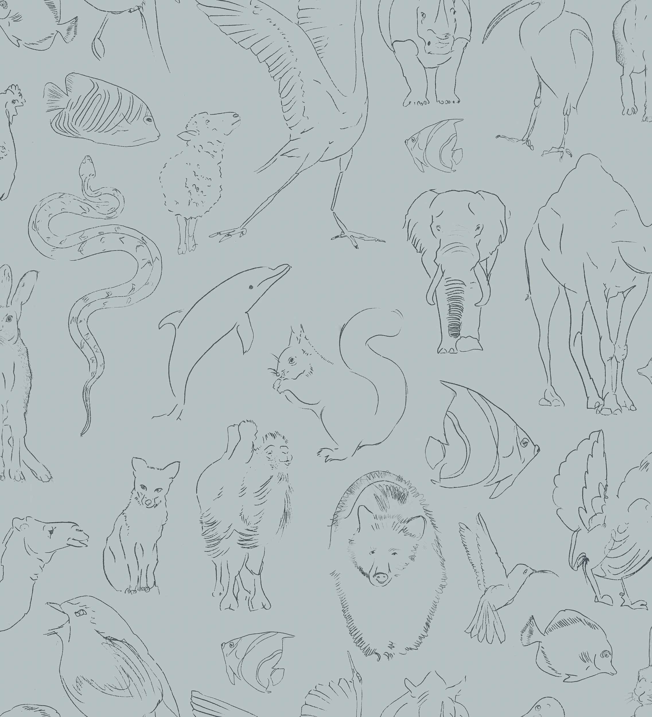 Zoology, Aqua, Coordonne 5mp / rola